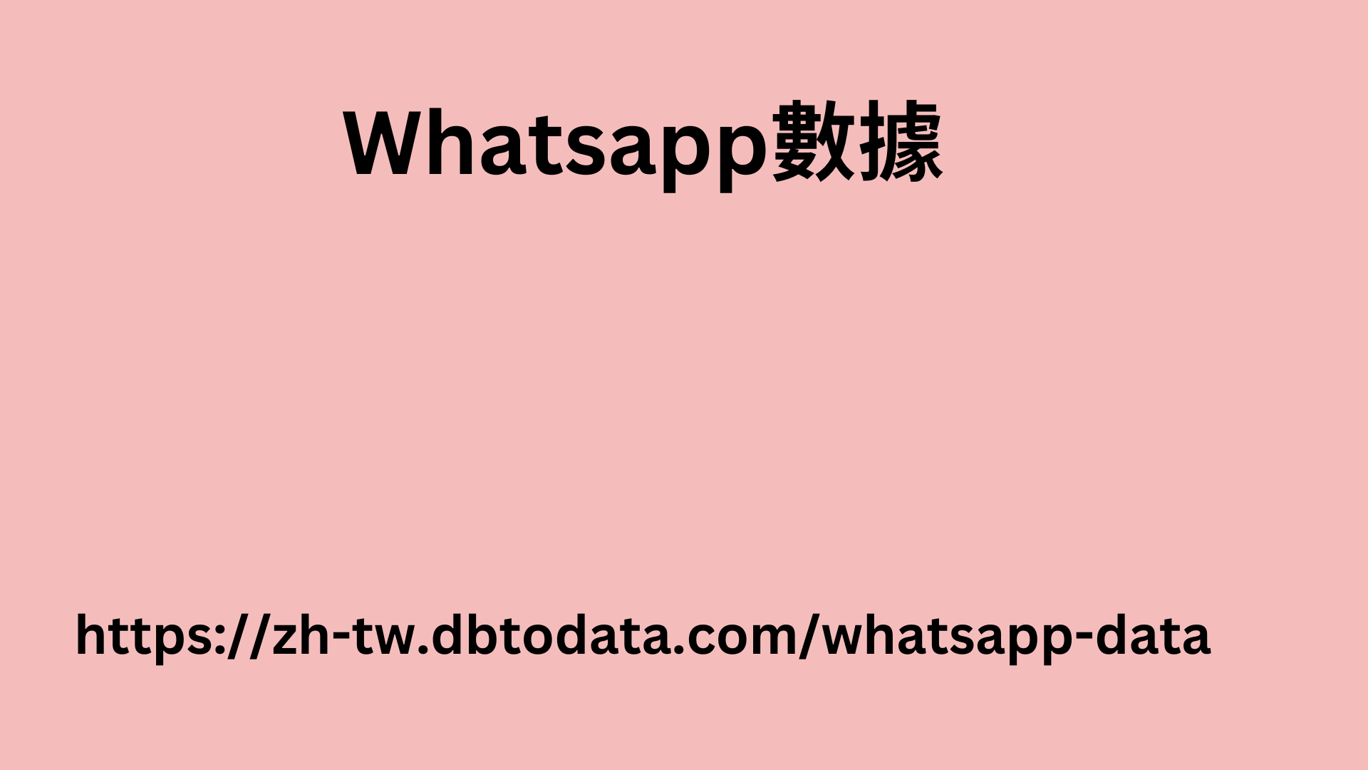 南非 WhatsApp 號碼數據